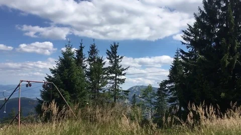 Blades of grass moving slowly on a wind in Polish Beskid mountains Stockbeeldmateriaal 81355111