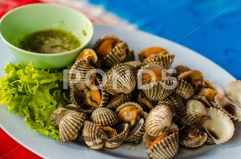 Blanched scallop. Stock Photos