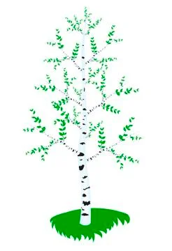 Blanching birch with sheet Stock Illustration