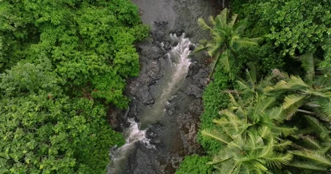 Blangsinga waterfall, Bali. Aerial view of a lush waterfall in a forest Stock Footage 276395036