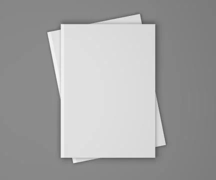 Blank 3D illustration empty two magazines, books on gray. Stockillustratie