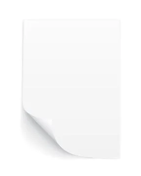 Blank A4 sheet of white paper with curled corner and shadow, template for you Stock Illustration