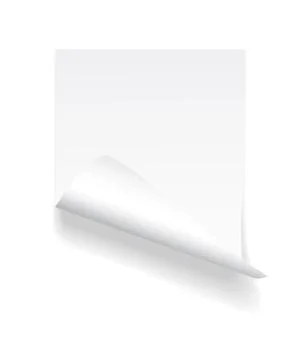 Blank A4 sheet of white paper with curled corner and shadow, template for you Stock Illustration