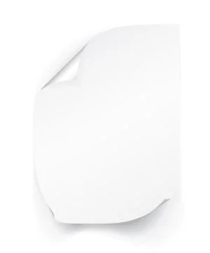 Blank A4 sheet of white paper with curled corner and shadow, template for you Stock Illustration
