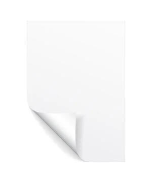 Blank A4 sheet of white paper with curled corner and shadow, template for you Stock Illustration