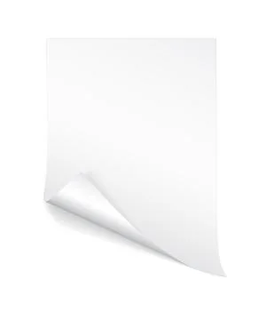 Blank A4 sheet of white paper with curled corner and shadow, template for you Stock Illustration