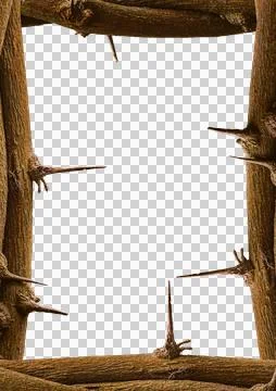 Blank background with branches with branches thorns borders Stock Photos