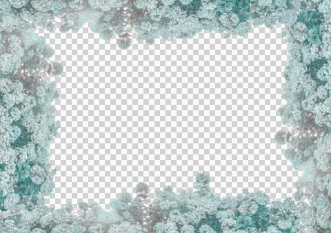 Blank background with bush of hydrangeas decorated borders Stock Photos