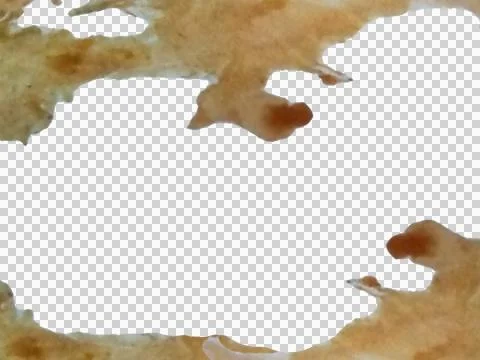 Blank background with colored paint spots texture borders Stock Photos