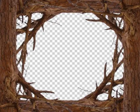 Blank background with tree trunk and branches decorated borders Stock Photos