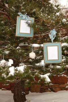 Blank blue picture frames in a tree Stock Photos