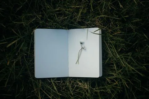 Blank book with chamomile flower on the table Stock Photos