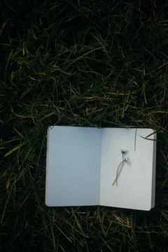 Blank book with chamomile flower on the table Stock Photos