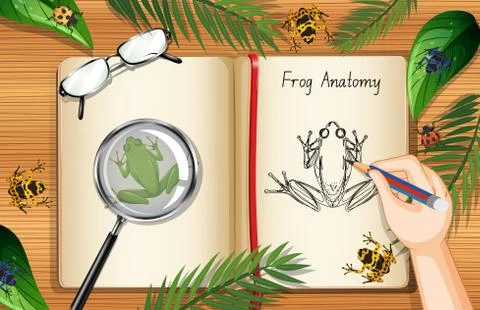 Blank book page on office work table top view with leaves and frog element Stock Illustration