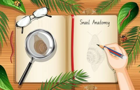 Blank book page on office work table top view with leaves and snail element Stock Illustration