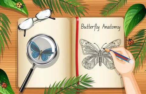 Blank book page on office work table top view with leaves and insects element 스톡 일러스트
