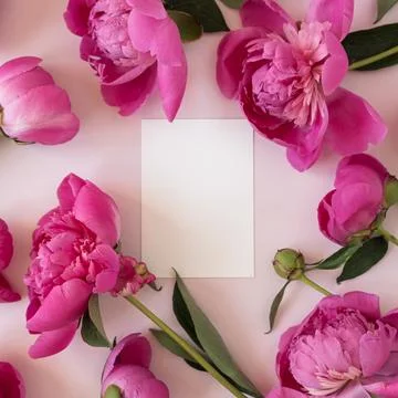 Blank branding paper card sheet with mockup copy space and elegant peonies fl Stock Photos
