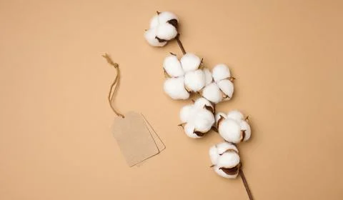 Blank brown rectangular, round brown paper tag on a rope on a brown backgroun 스톡 사진