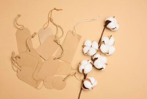 Blank brown rectangular, round brown paper tag on a rope on a brown backgroun Stock Photos