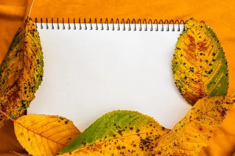 Blank calendar sheet with fall mount framed with autumn leaves on yellow textile Stock Photos