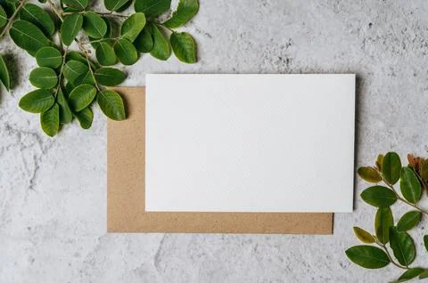 A blank card with envelope and leaf is placed on white background Stock Photos