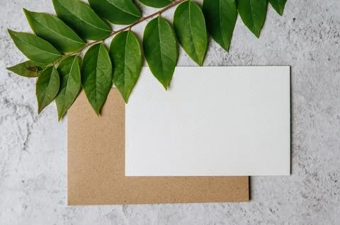 A blank card with envelope and leaf is placed on white background Stock Photos