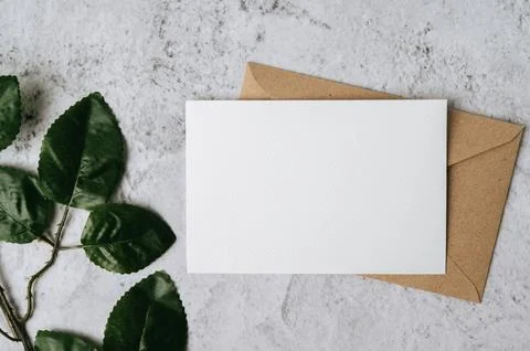 A blank card with envelope and leaf is placed on white background Stock Photos