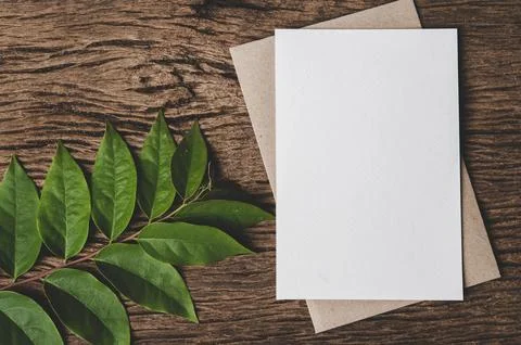 A blank card is placed on envelope and leaf with wood background Stock Photos