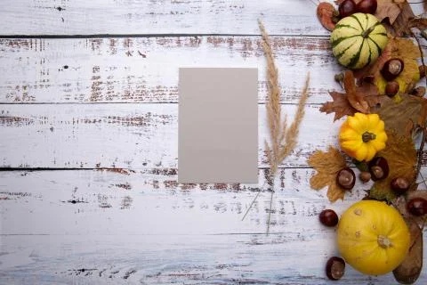 Blank card on wooden table next to autumn composition and spikelets Stock Photos