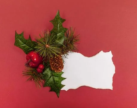 Blank christmas note and pine needles Stock Photos