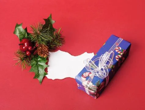Blank christmas note with pine needles and a present Stock Photos