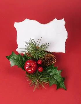 Blank christmas note with pine needles Stock Photos