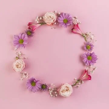 Blank circular frame made with flowers pink background. High quality photo Stock Photos