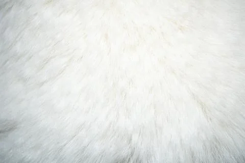 Blank clean white natural fur background Stock Photos