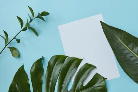 Blank copy space Stock-Fotos