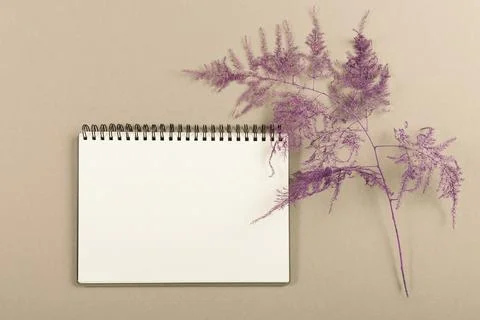 Blank diary, notepad mockup and dry plant on beige background Stock Photos