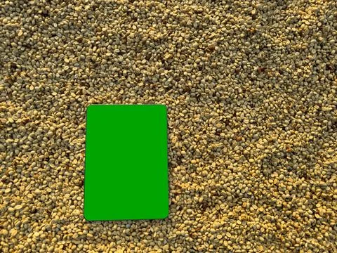 Blank Digital Tablet Mockup On Bed Of Coffee Parchment Beans During Golden .. Stock Photos