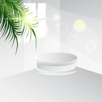 Blank display stage background with coconut leaf Stock Illustration