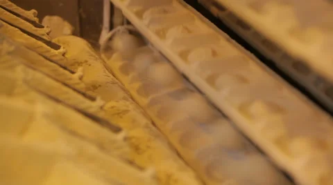 Blank dough for biscuits on the conveyor Stock Footage 39420553