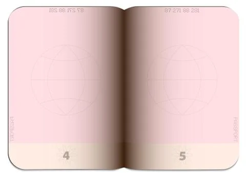 Blank empty open generic passport template Stock Illustration