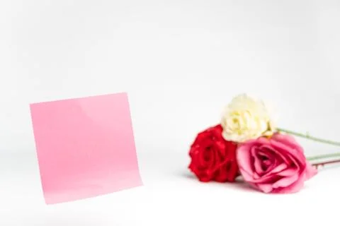 Blank empty pink notes with red pink white roses as valentine romance white.. Stock Photos