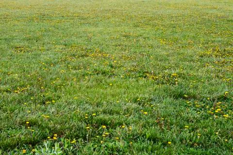Blank Field Background Foto stock