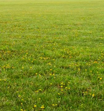 Blank Field Background Stock Photos