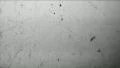 Blank Film Leader Texture Loop - Vintage 8mm Footage HD Footage
