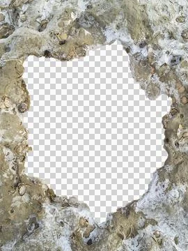 Blank frame with irregular seashell texture borders Stock Photos