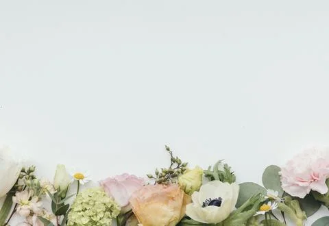 Blank fresh flower pattern background Stock Photos