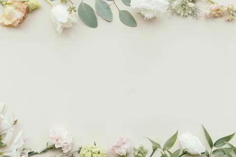 Blank fresh flower pattern background Stock Photos