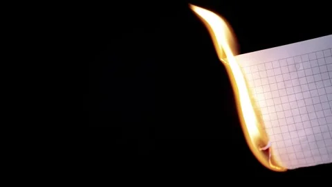 Blank Graph Paper Burning With Bright Orange Flame On Black Background Stock Footage 330300867