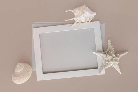 Blank greeting card, white empty frame, gray paper and three shells Stock Photos