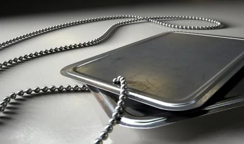 Blank identity dog tags dramatic Illustrazione stock